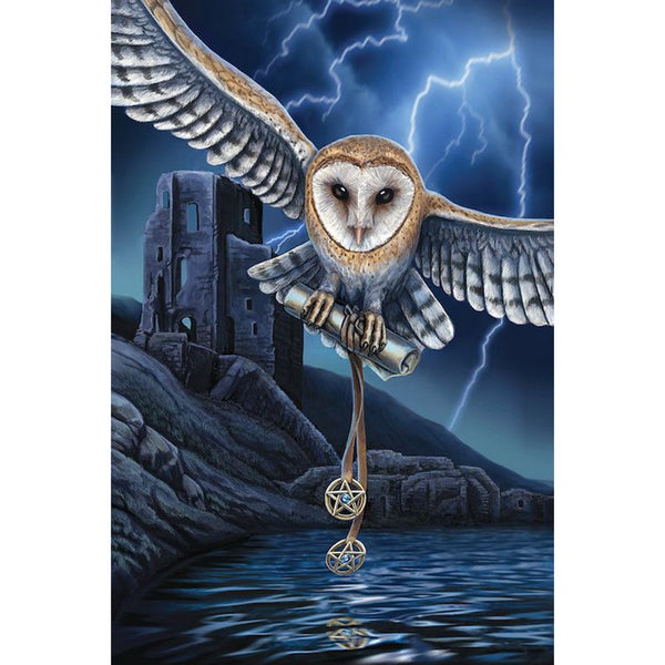 Diamond Painting Animal - Owl B